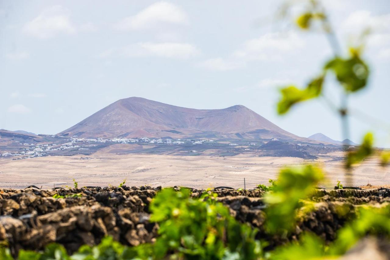 Eslanzarote Eco Dome Experience Hotel Teguise Kültér fotó