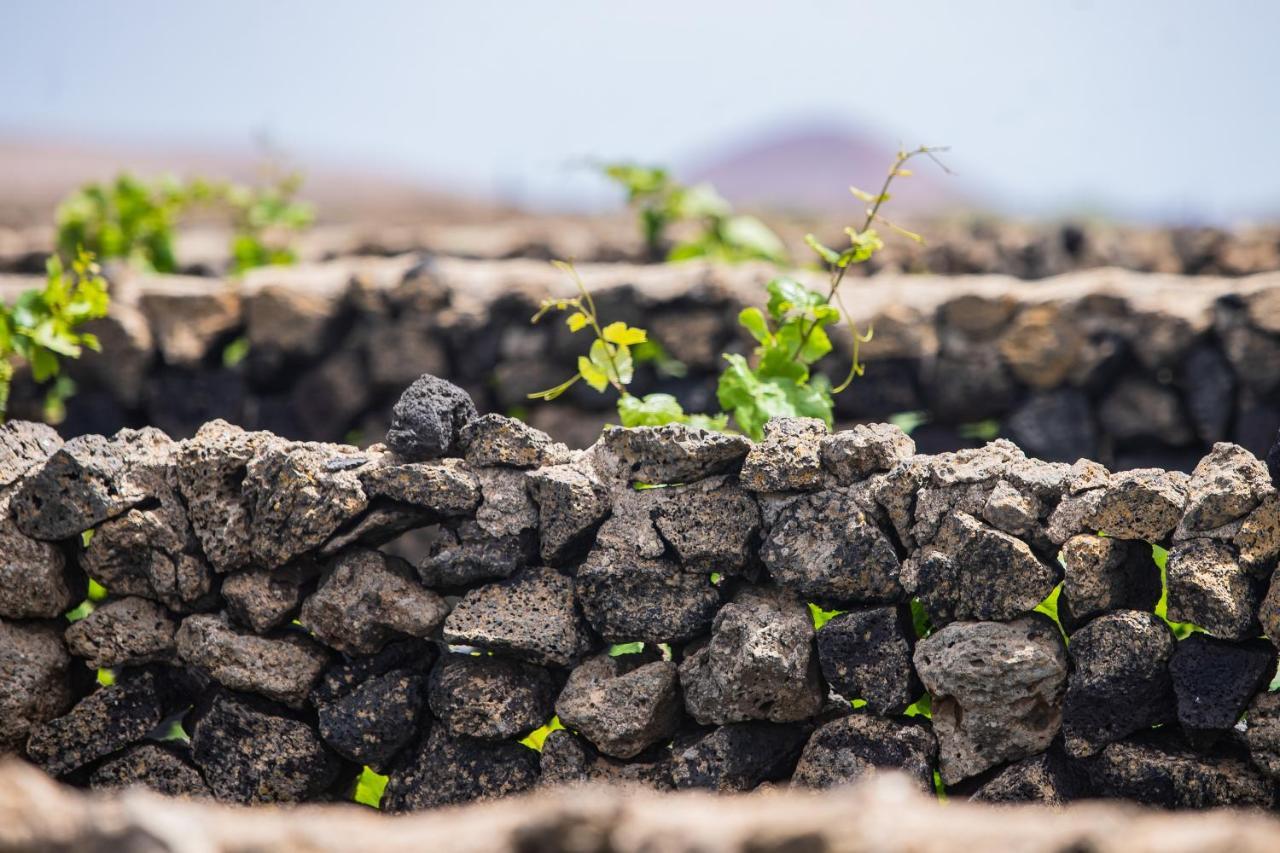 Eslanzarote Eco Dome Experience Hotel Teguise Kültér fotó