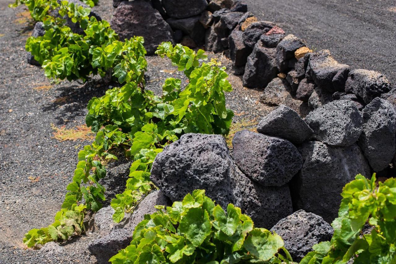 Eslanzarote Eco Dome Experience Hotel Teguise Kültér fotó
